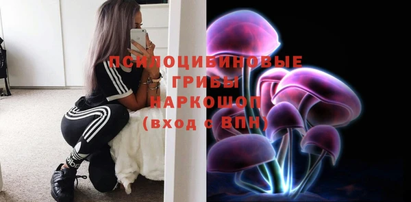 меф Медвежьегорск