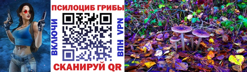 Галлюциногенные грибы Magic Shrooms  hydra зеркало  Нытва 